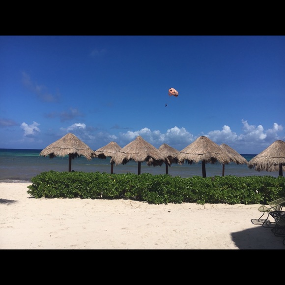 Meet your Posher, Monique - Picture 1 of 1